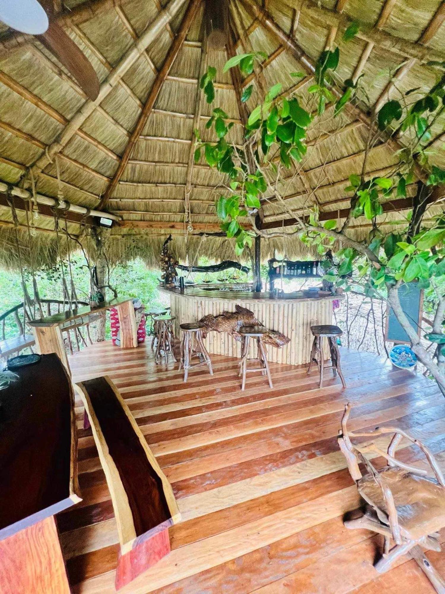 Sanctuaria Treehouses Busuanga Exteriör bild